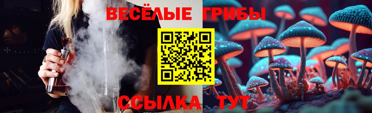 Галлюциногенные грибы мицелий  Вход с VPN  Псилоцибиновые грибы Psilocybe  Брянск 