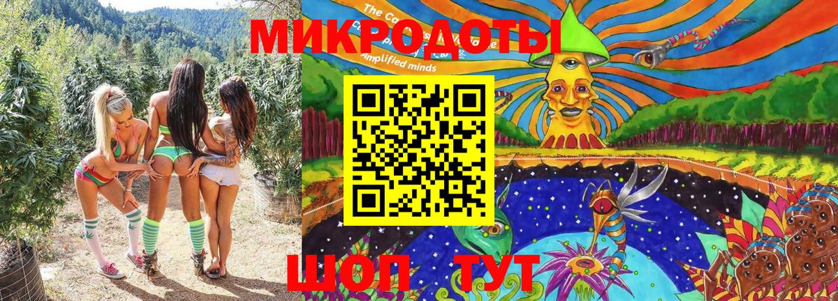 Галлюциногенные грибы мицелий Брянск